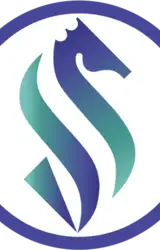Saddle Finance