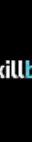 Skillbyte