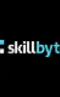 Skillbyte