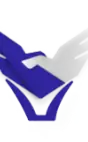 SkyTrust IT Solutions