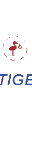 Slitigenz