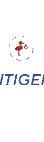 Slitigenz