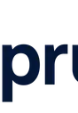 Spruce Systems