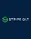 Stripe OLT Consulting