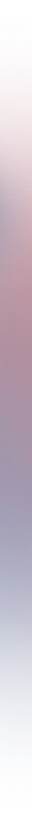 SynLev
