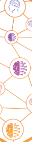TeknoVerse
