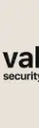 Valus Security