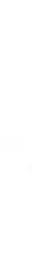 Velvet Capital