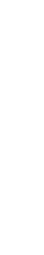Velvet Capital