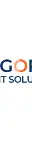 Vigorous IT Solutions