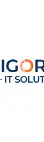 Vigorous IT Solutions