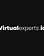 Virtual Experts