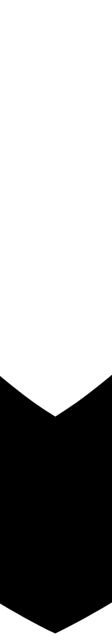 Vuzix