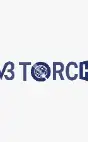 W3Torch Digital Agency