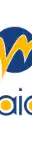 Waioz Consultancy Services