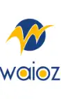 Waioz Consultancy Services