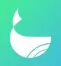 WhaleFin