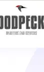 Woodpecker Analytics and Services