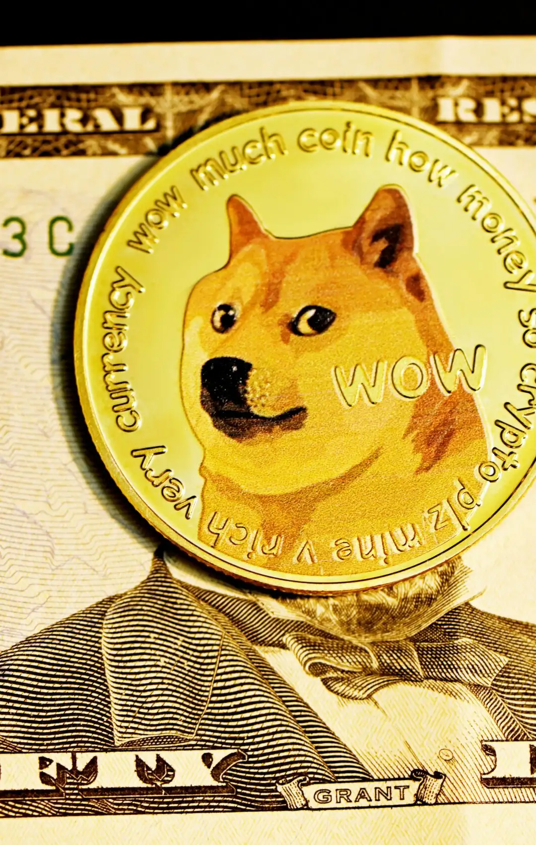 Reasons Why the Dogecoin Price Could Surge Beyond $1 in 2025