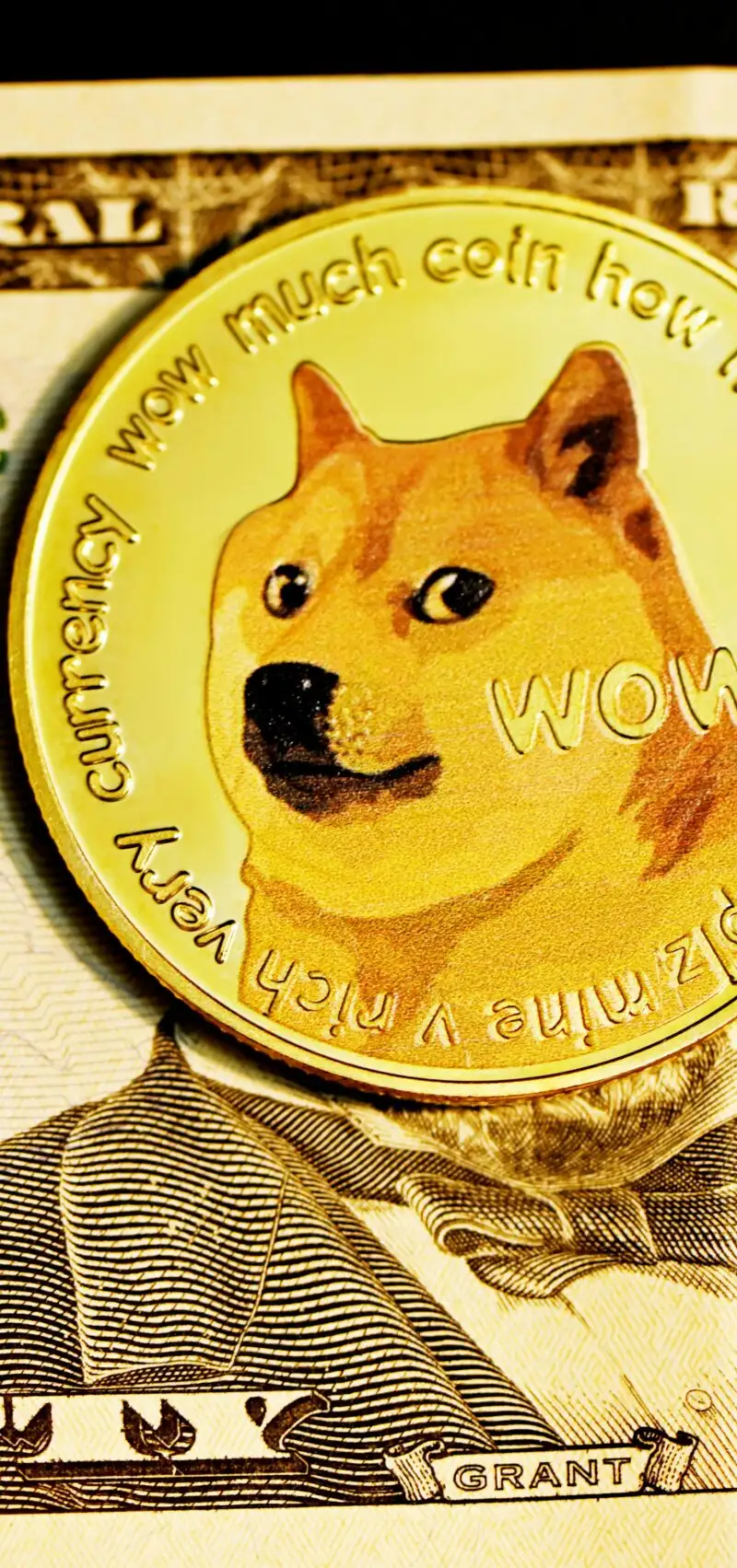 Reasons Why the Dogecoin Price Could Surge Beyond $1 in 2025